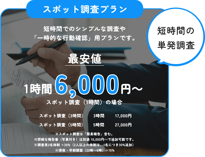 スポット調査プラン 