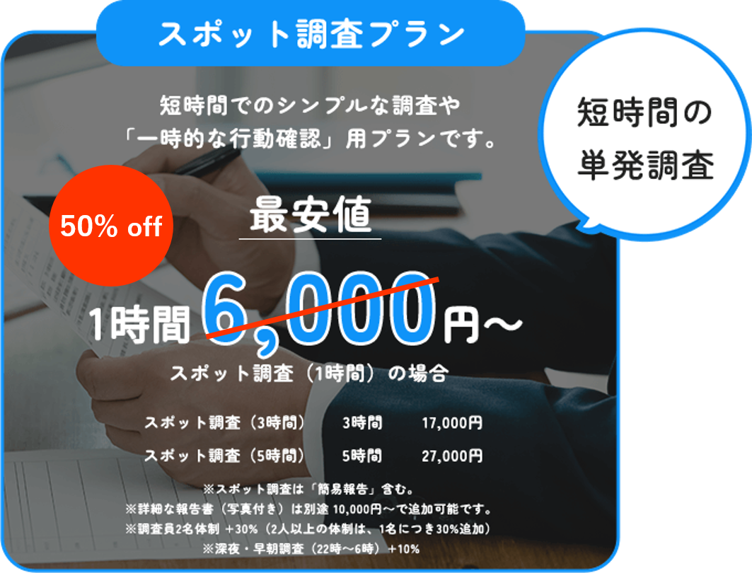 スポット調査プラン 